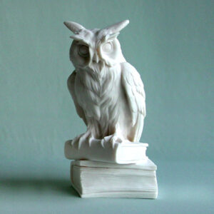 Owl standing on books in White color