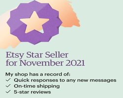 November 2021 Etsy star seller reward