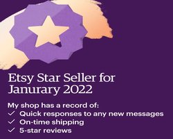 January 2022 Etsy star seller reward