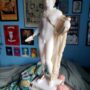 Apollo statue Greek God 5-807-p customer photo