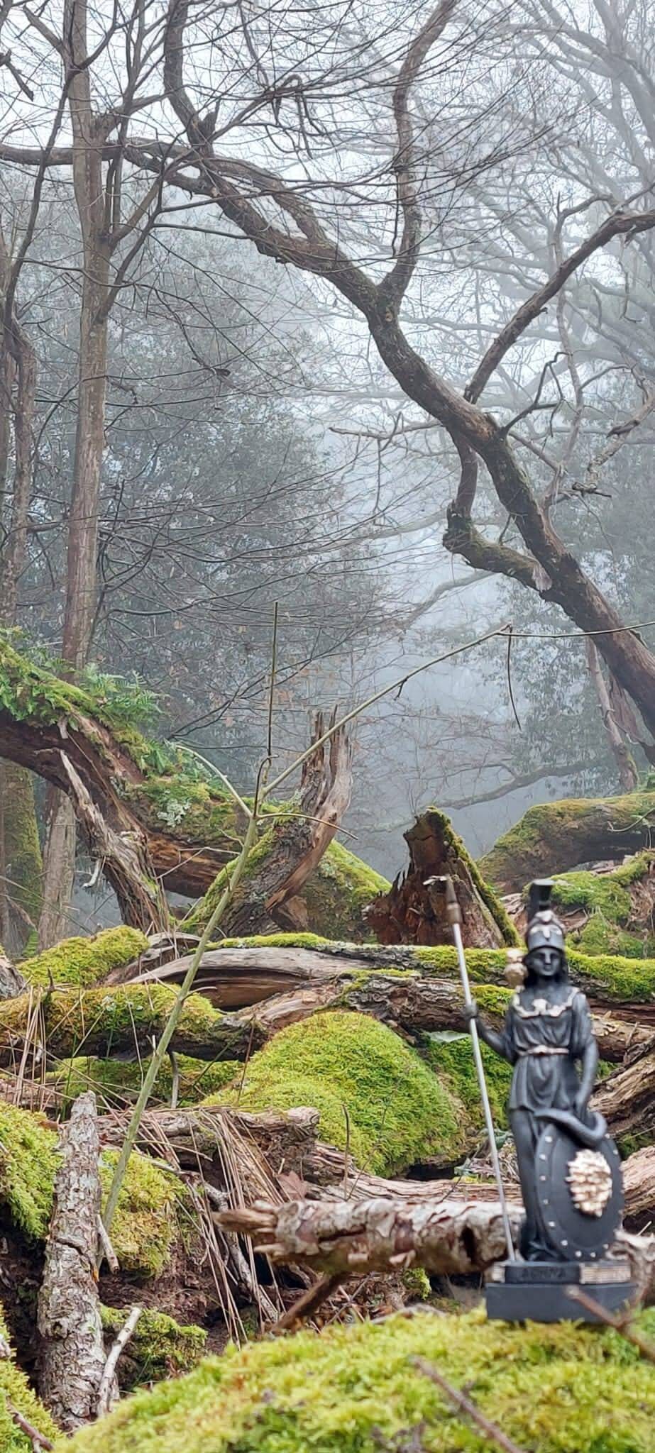 Athena 3-781-b from eStatueShop (customer's photo)